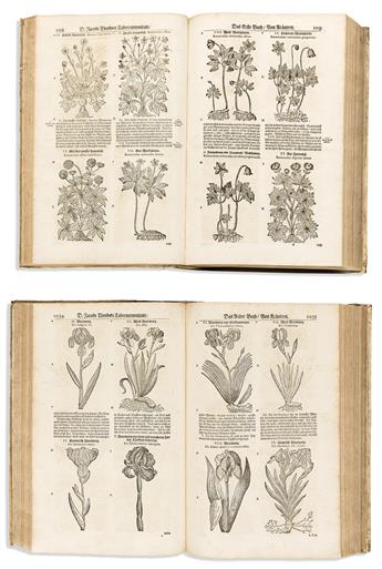 (BOTANICAL -- HERBAL.) Jacob Theodor Tabernaemontanus. Neu Vollkommen Kräuter-Buch.